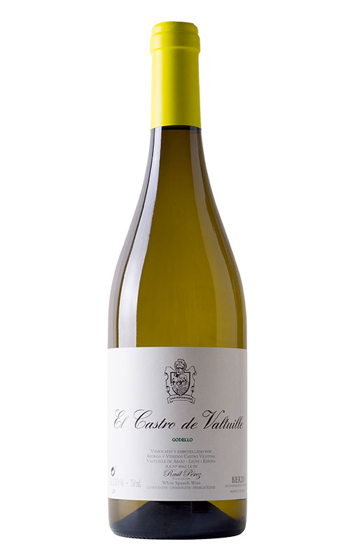 El Castro de Valtuille Godello 2022
