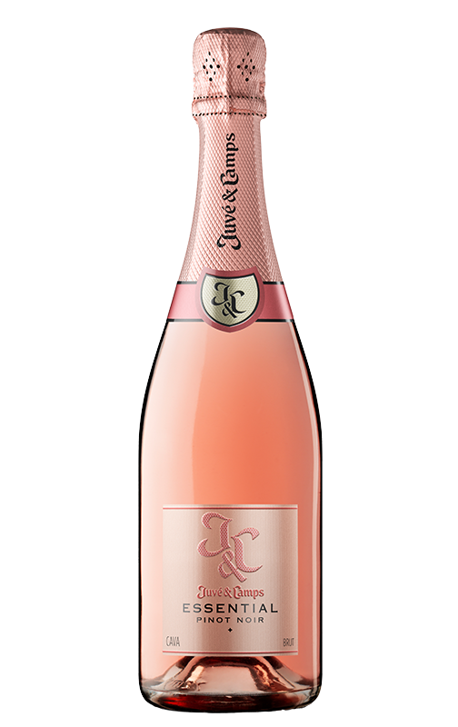 Juvé & Camps Essential Pinot Noir Brut