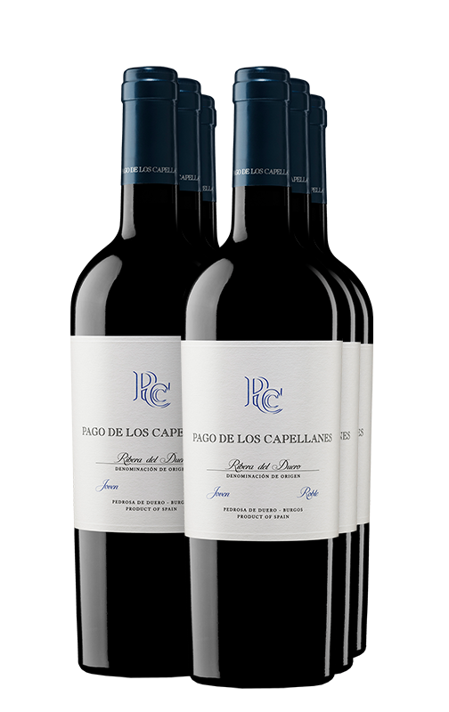 Pago de los Capellanes Joven Roble 2024 (x6)